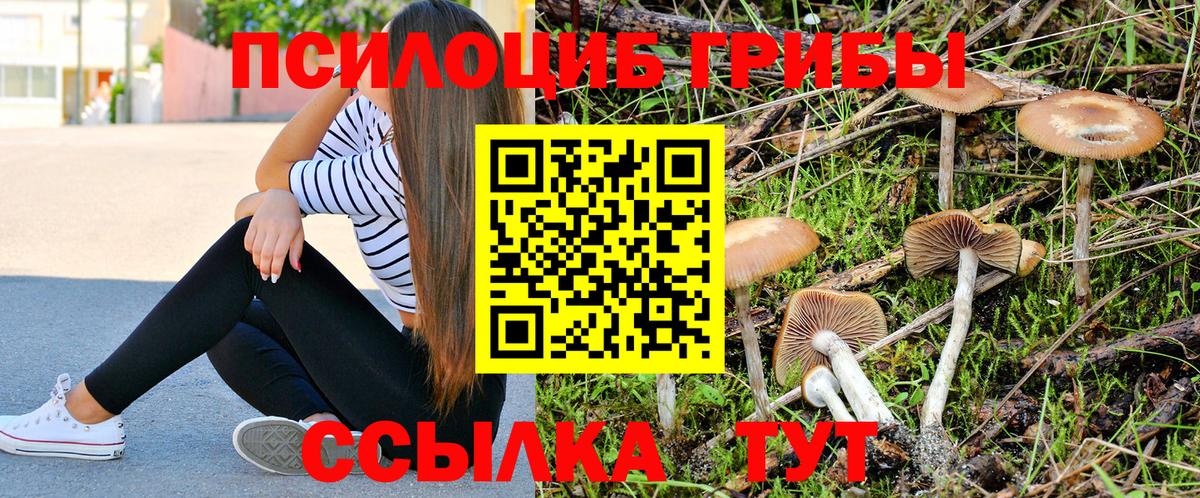 Псилоцибиновые грибы GOLDEN TEACHER Изобильный
