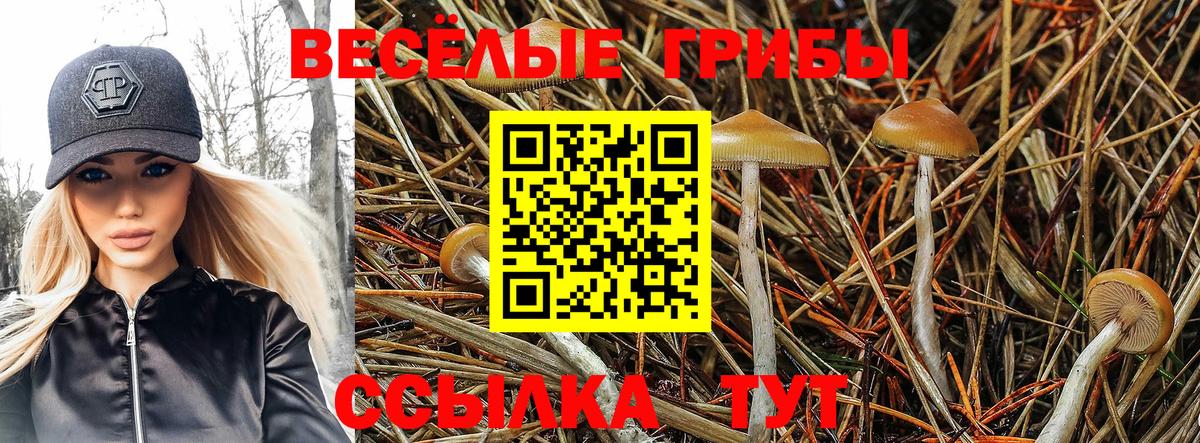 Галлюциногенные грибы Psilocybine cubensis  Вход с VPN  Изобильный  Галлюциногенные грибы Cubensis 